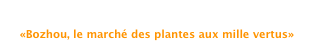 Pour introduire la conférence, un documentaire, réalisé par l’association Small Word, sera projeté. Ce film, intitulé 
«Bozhou, le marché des plantes aux mille vertus»
 illustrera l’usage des plantes médicinales en Chine.